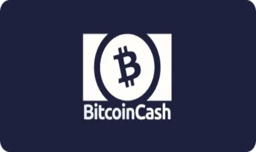 Bitcoin Cash — maksājums DudeSpin kazino